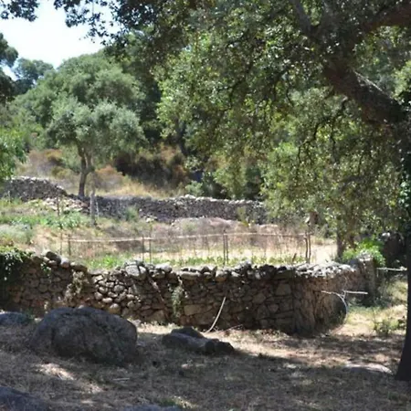 אכסניה Stazzo Gallurese *