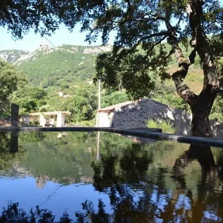 Stazzo Gallurese *